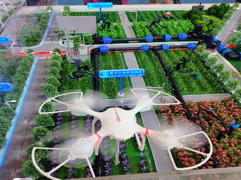 ɳ�P(p��n)ģ������